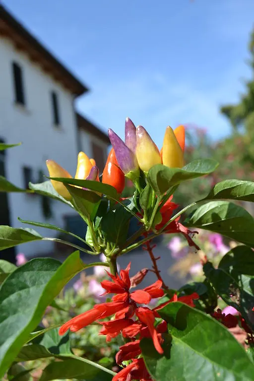 Country House Bucaneve Rovolon Italy